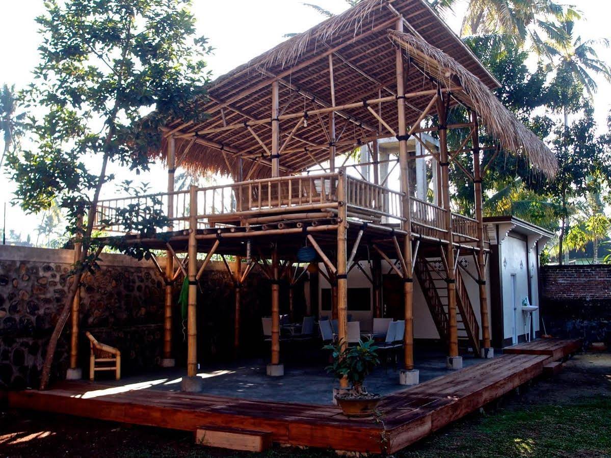 Les Rizières Lombok