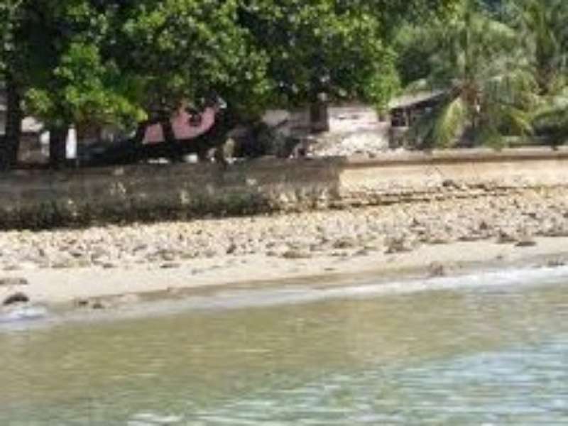 Hotel Sea