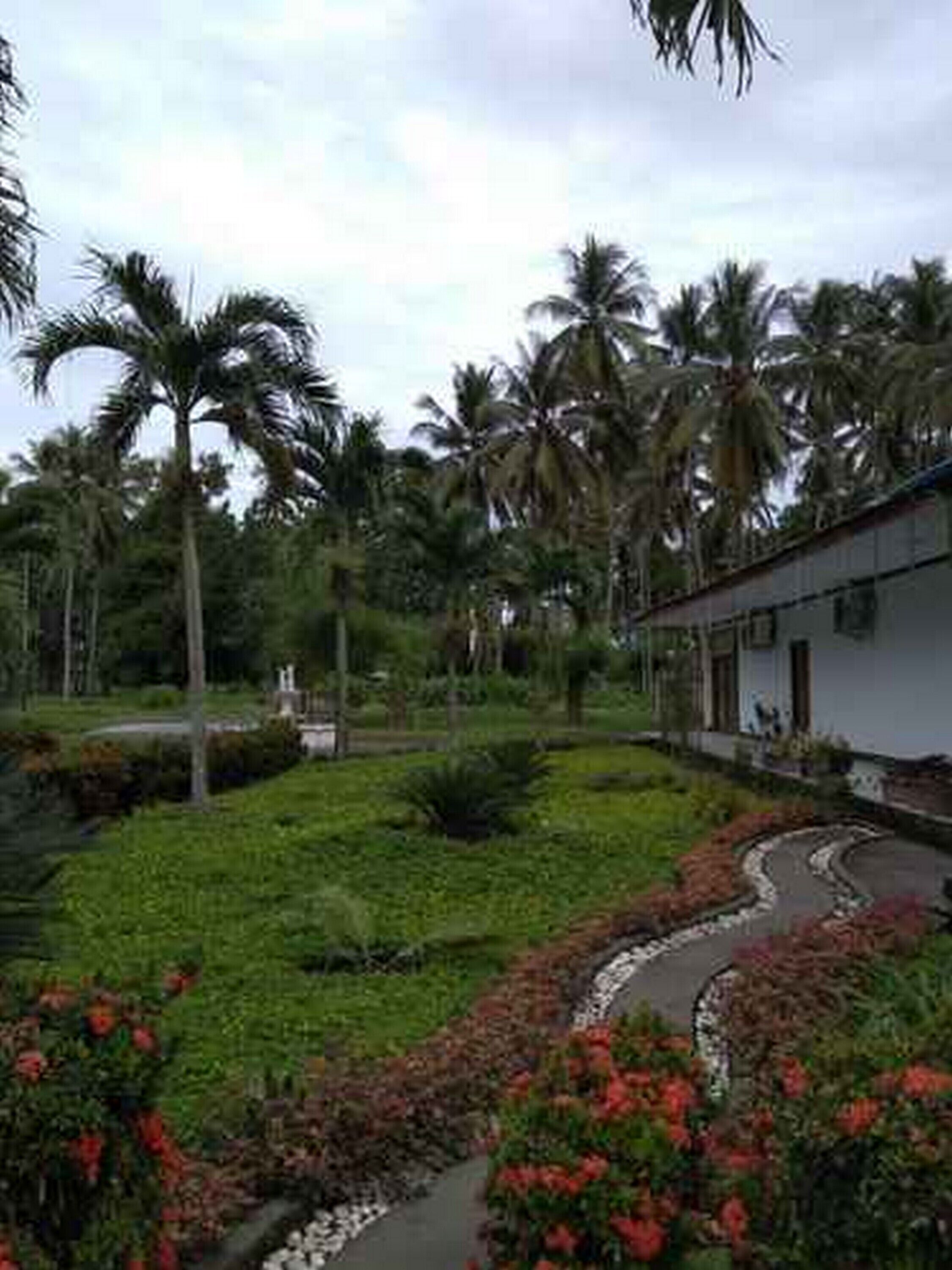 Hotel Kusu Kusu by RedDoorz