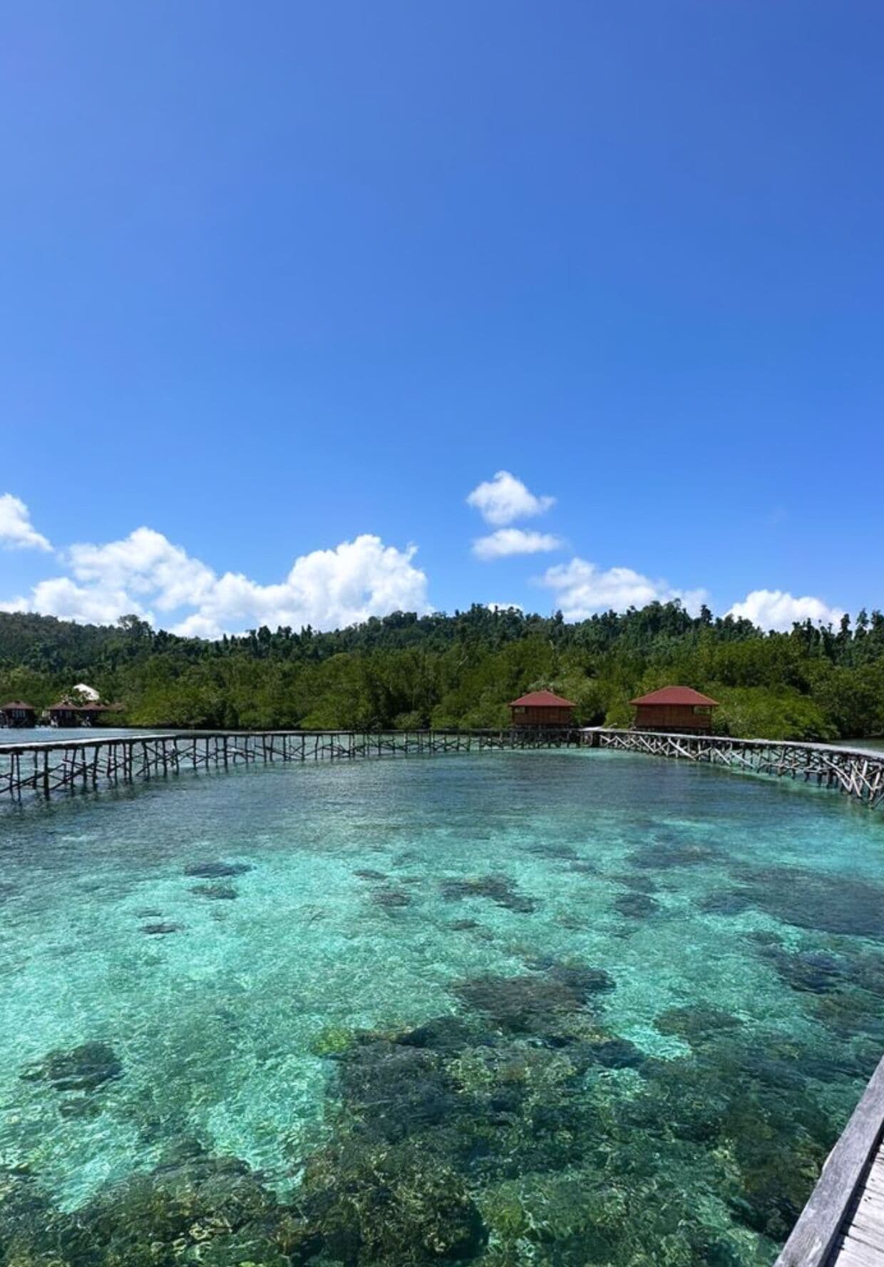 Vogelkopf Dive Resort
