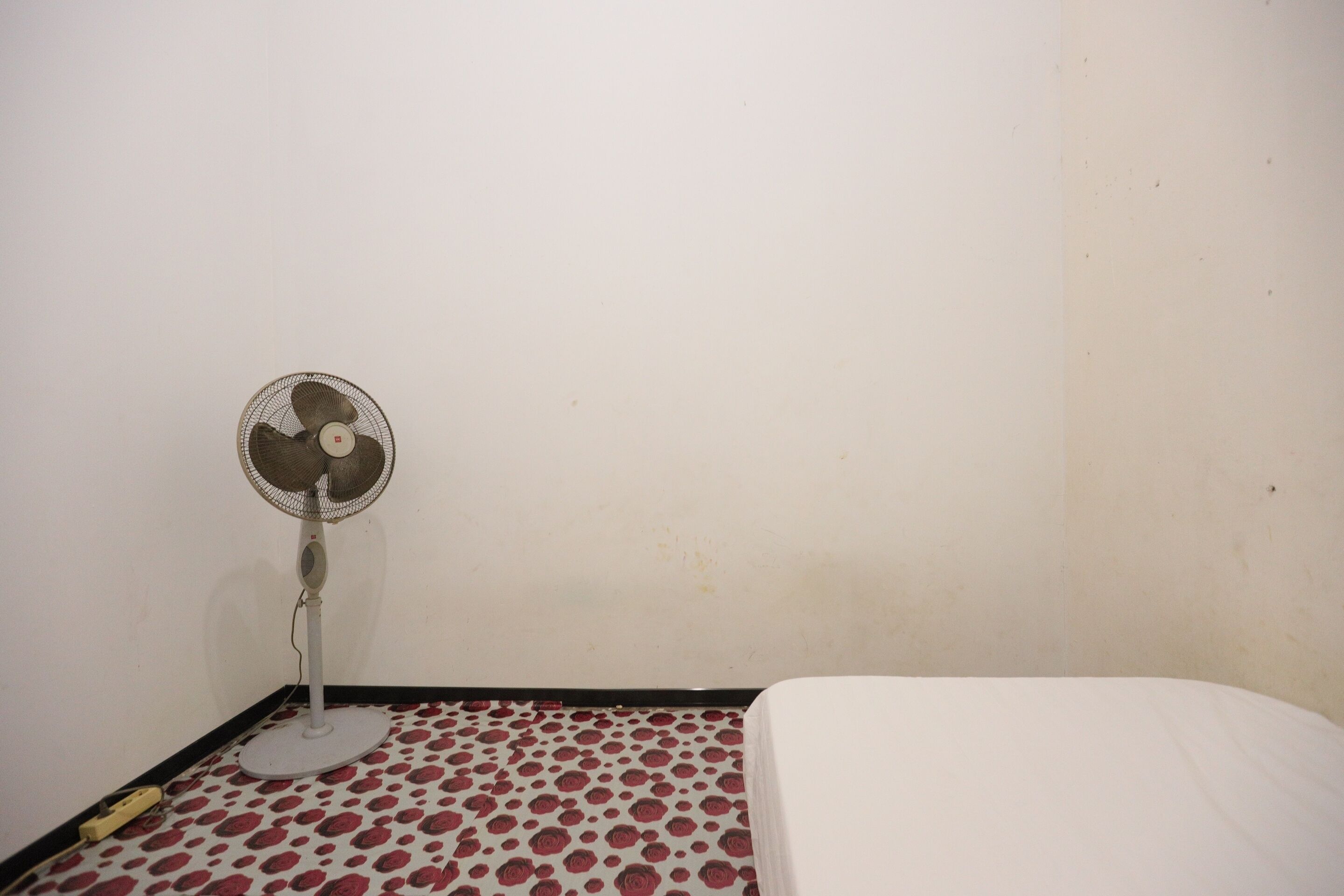 SPOT ON 93445 Penginapan Alfafa Scorpio