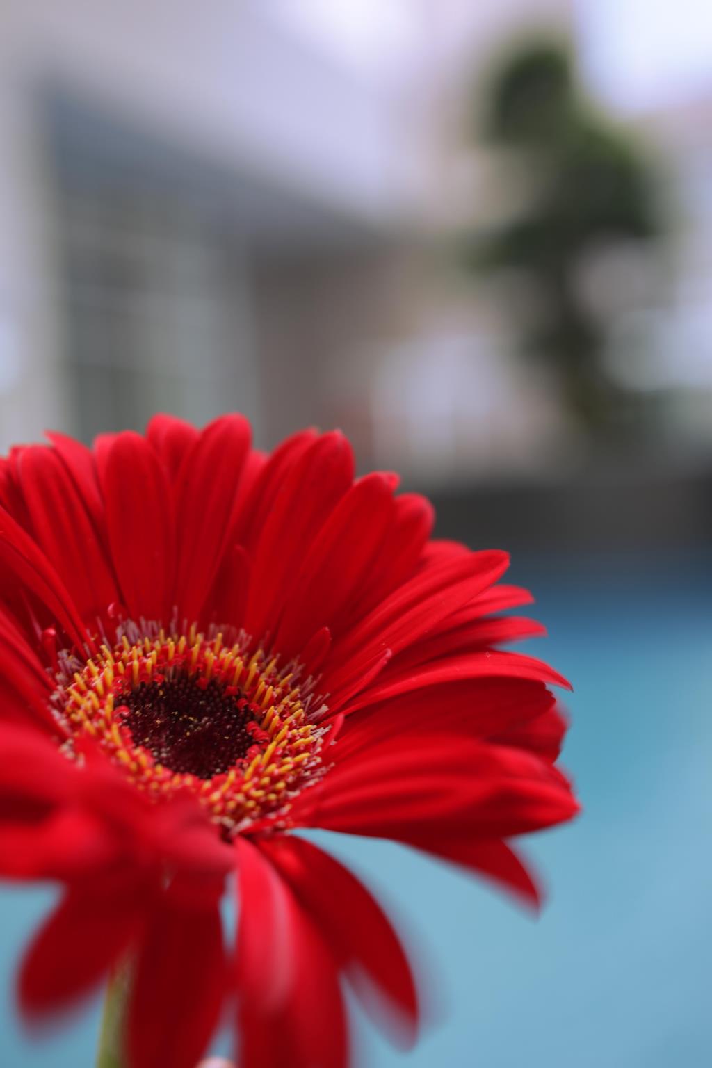 Aston Batam Hotel & Residence