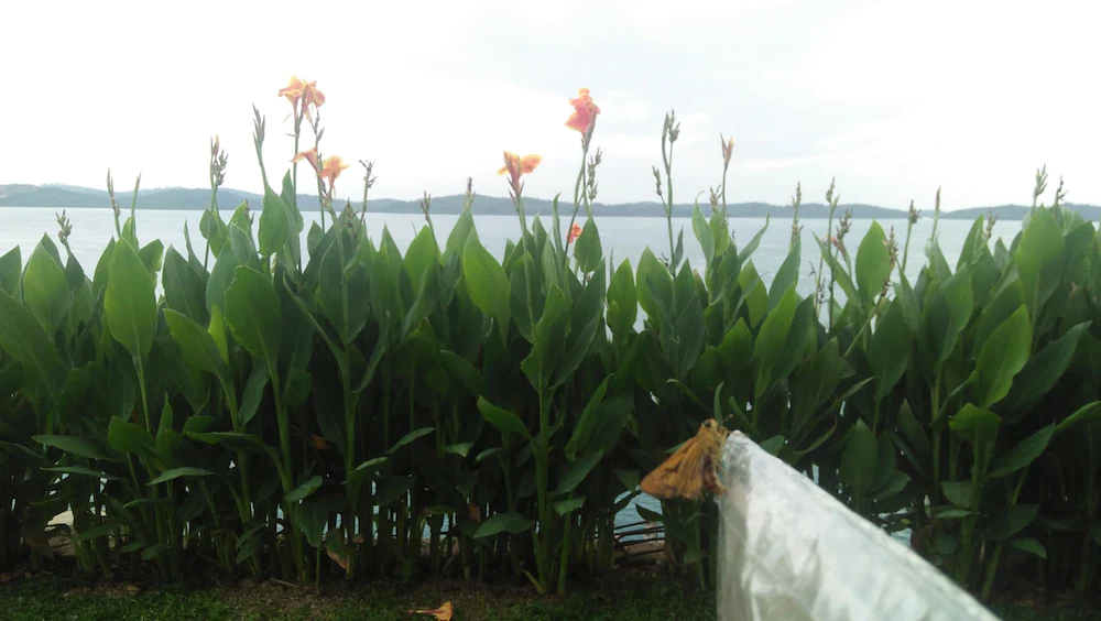 Barelang Bridge Hotel