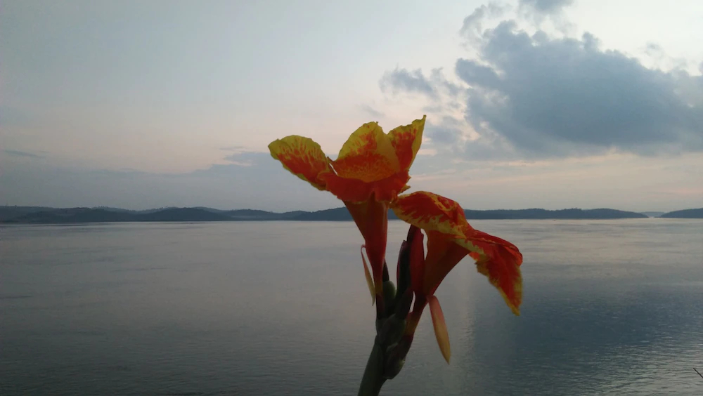 Barelang Bridge Hotel