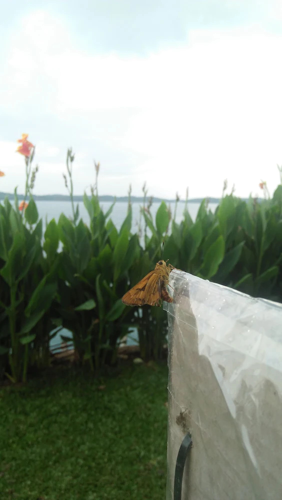 Barelang Bridge Hotel