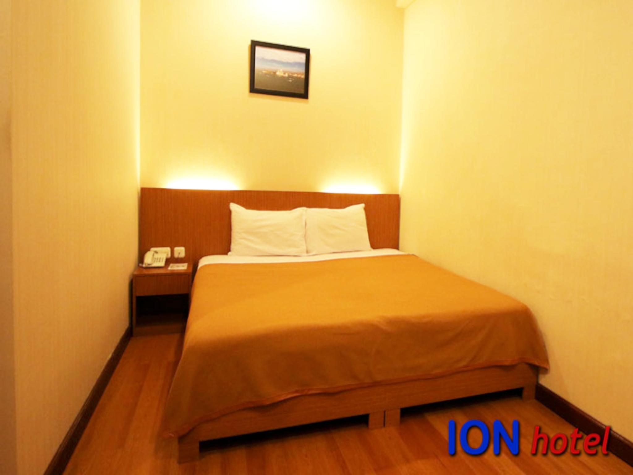 Ion Hotel