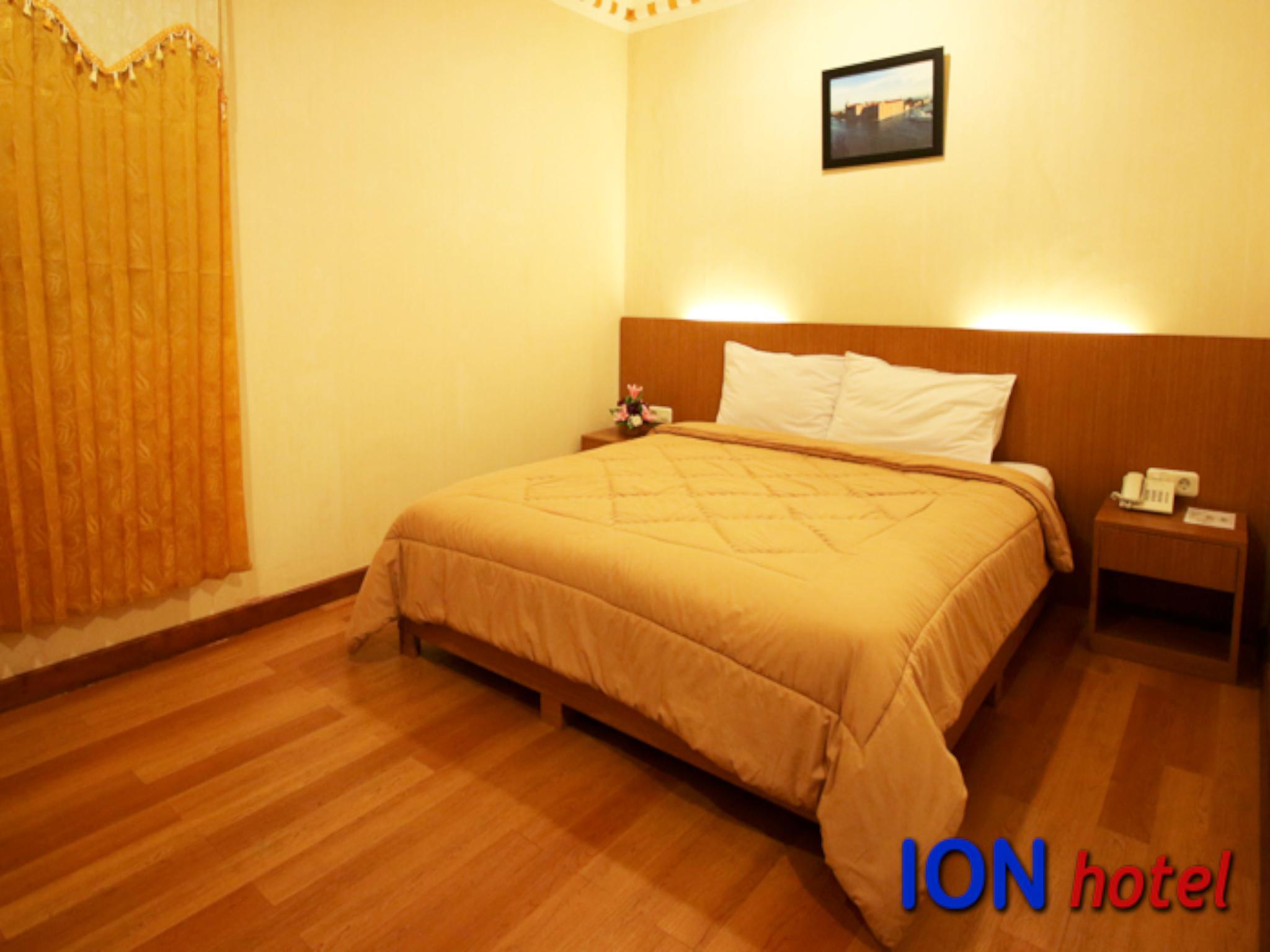 Ion Hotel