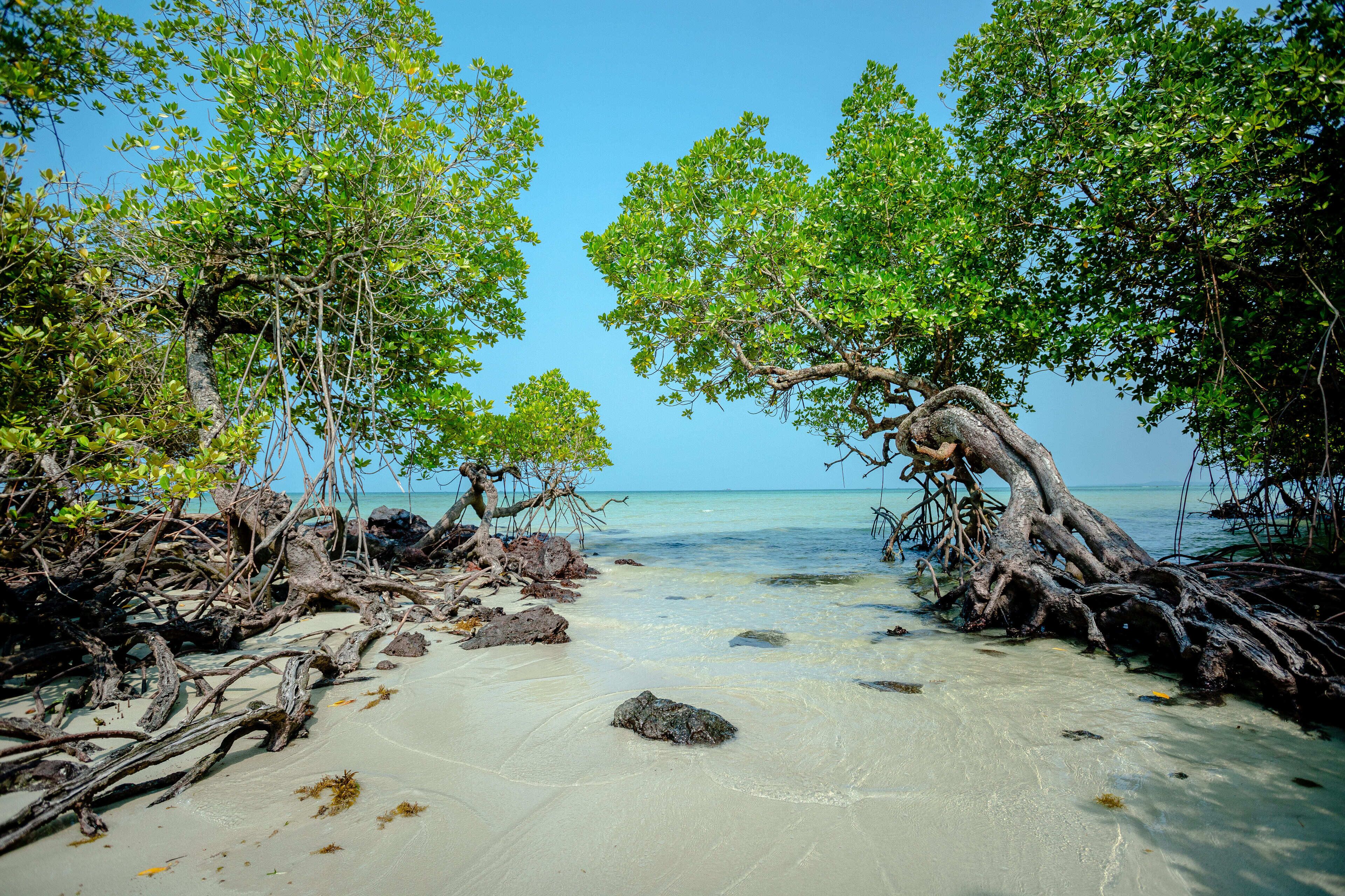 Bintan Exotica Resort by WH