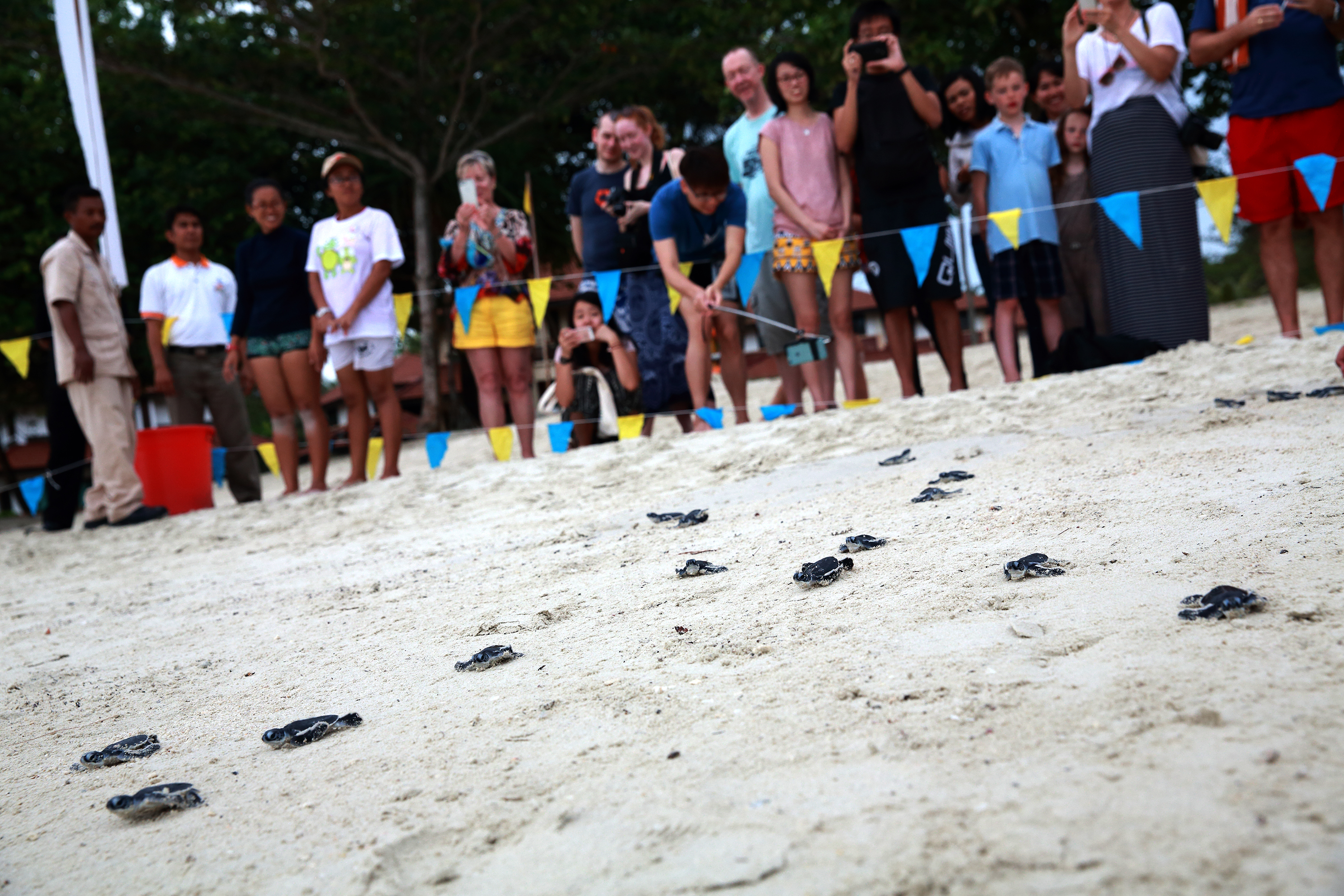 Indra Maya Pool Villas