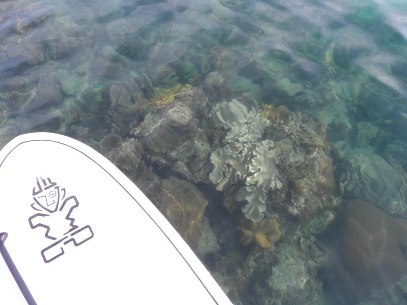 Mutiara Beach Resort