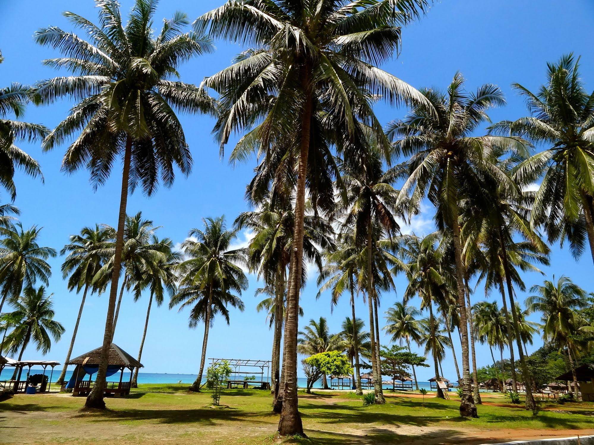 Serumpun Padi Emas Resort