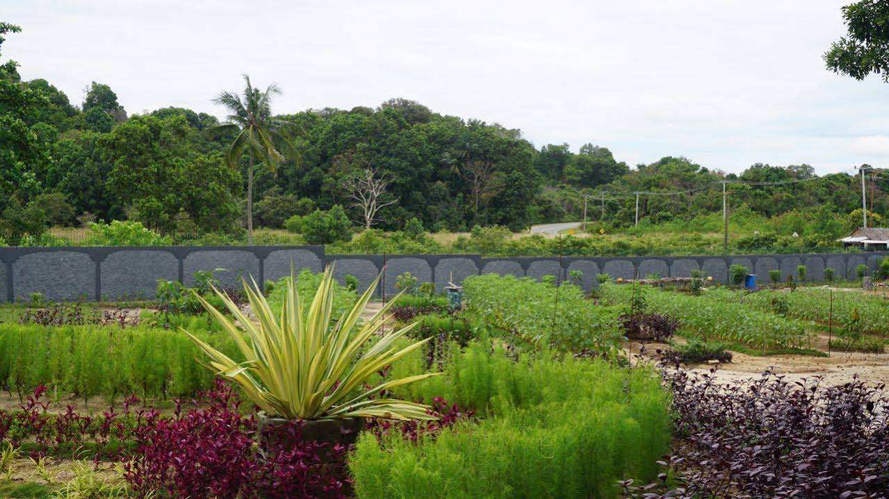 Bintan Pearl Beach Resort