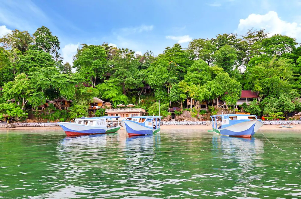 Froggies Bunaken