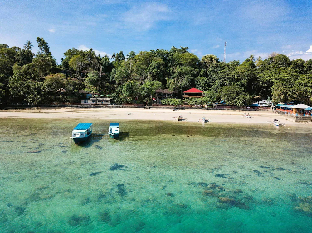 Froggies Bunaken