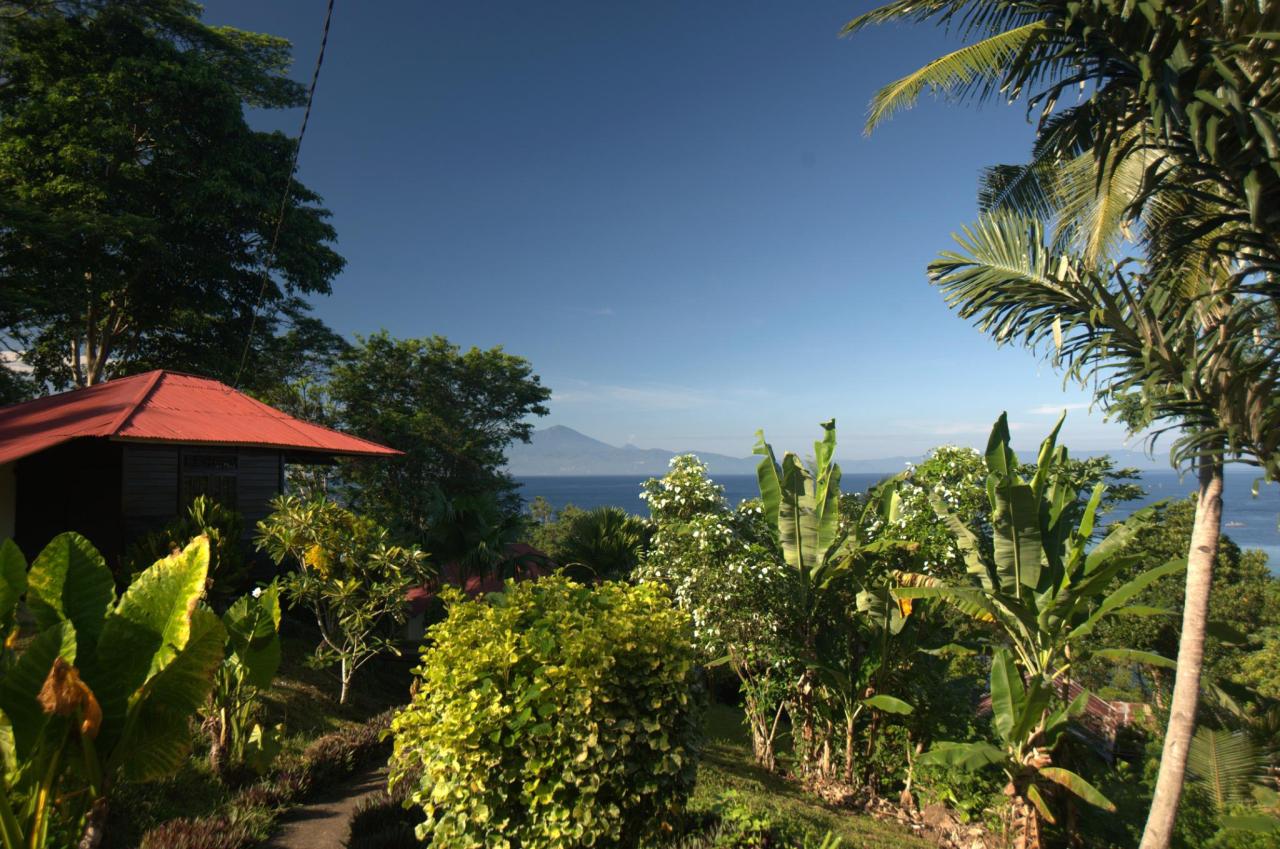 Happy Gecko Dive Resort
