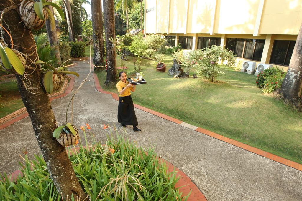 Makassar Golden