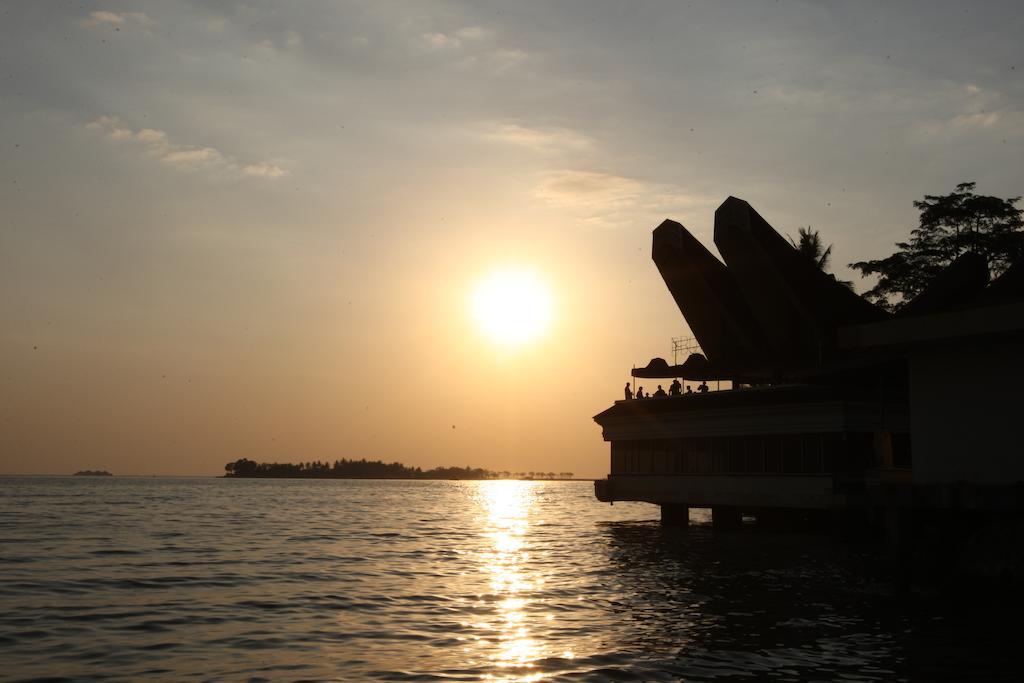 Makassar Golden