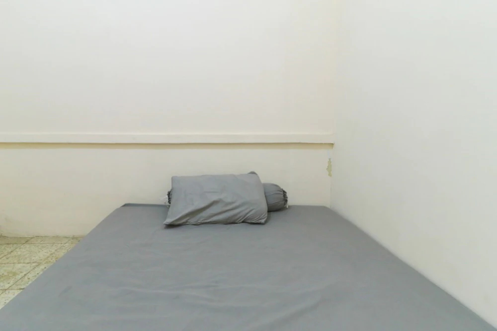 Techno Guesthouse