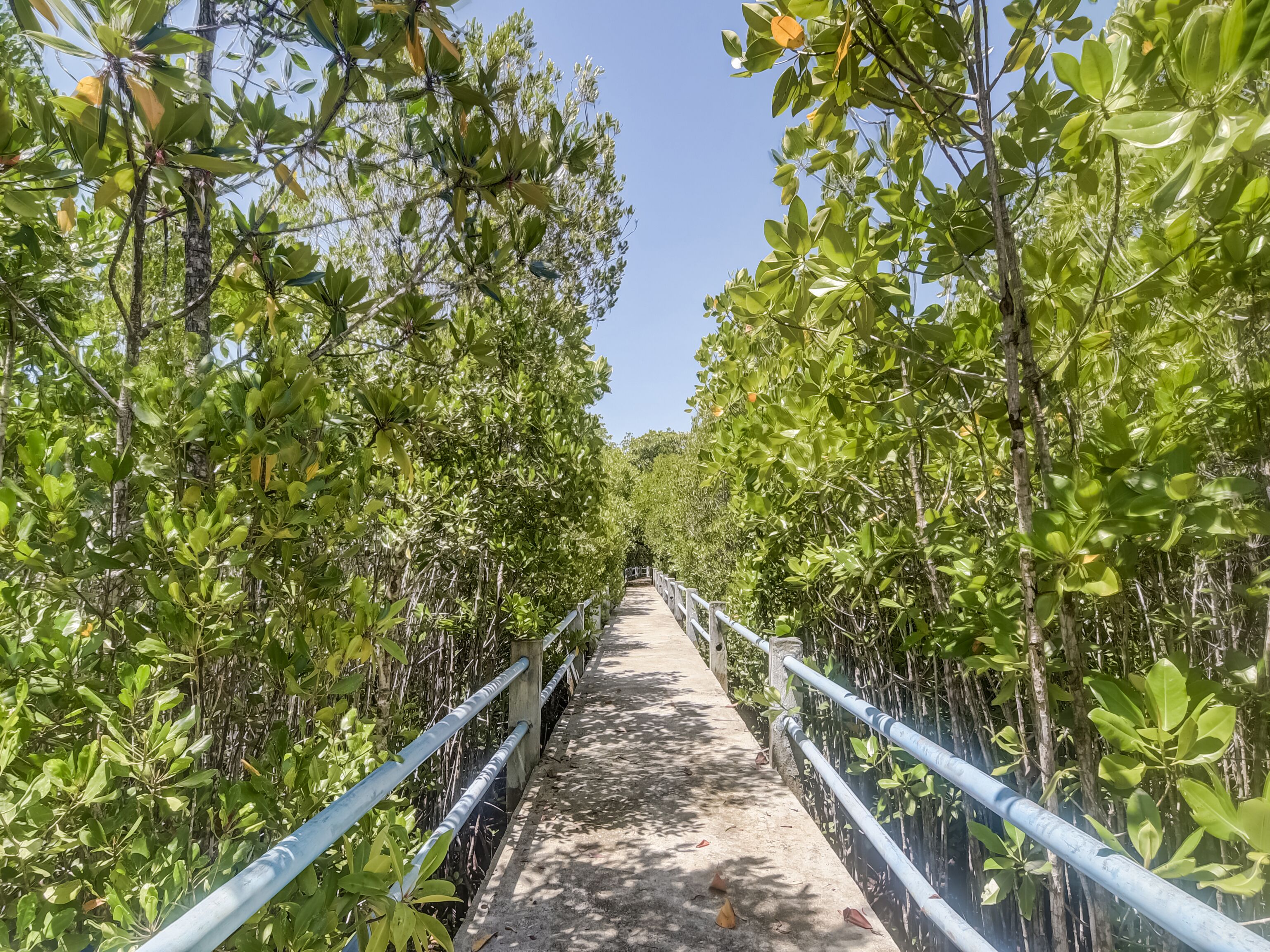 Desa Wisata Bahoi By OYO