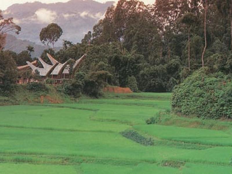 Hotel Marante Toraja