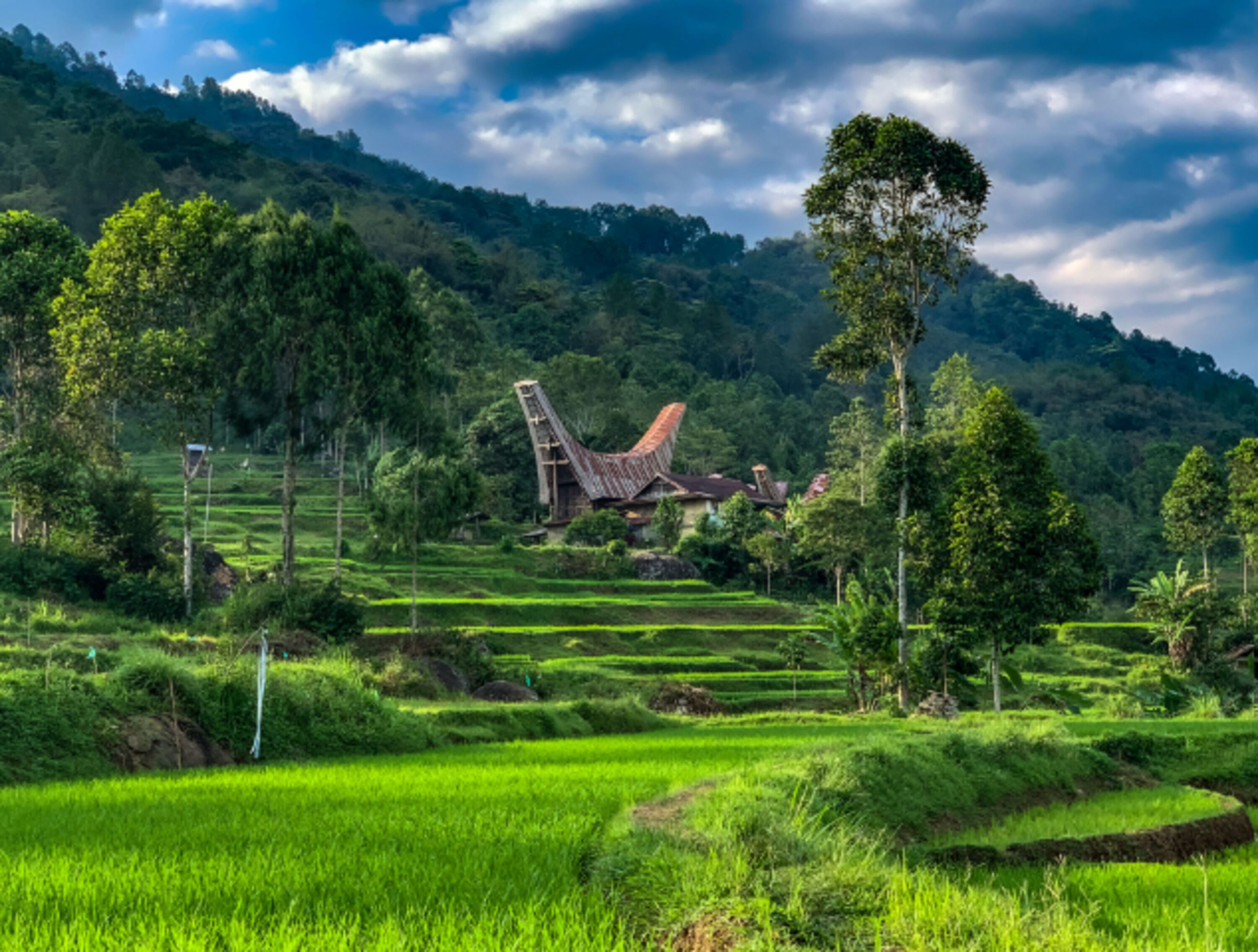 Santai Toraja