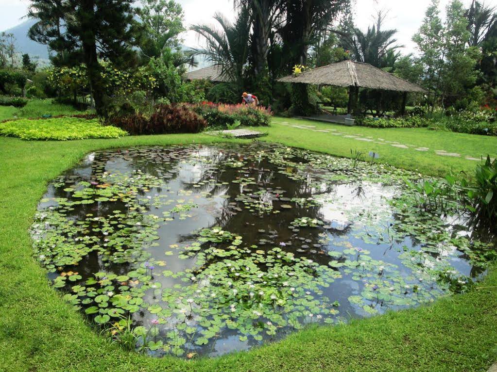 Gardenia Country Inn