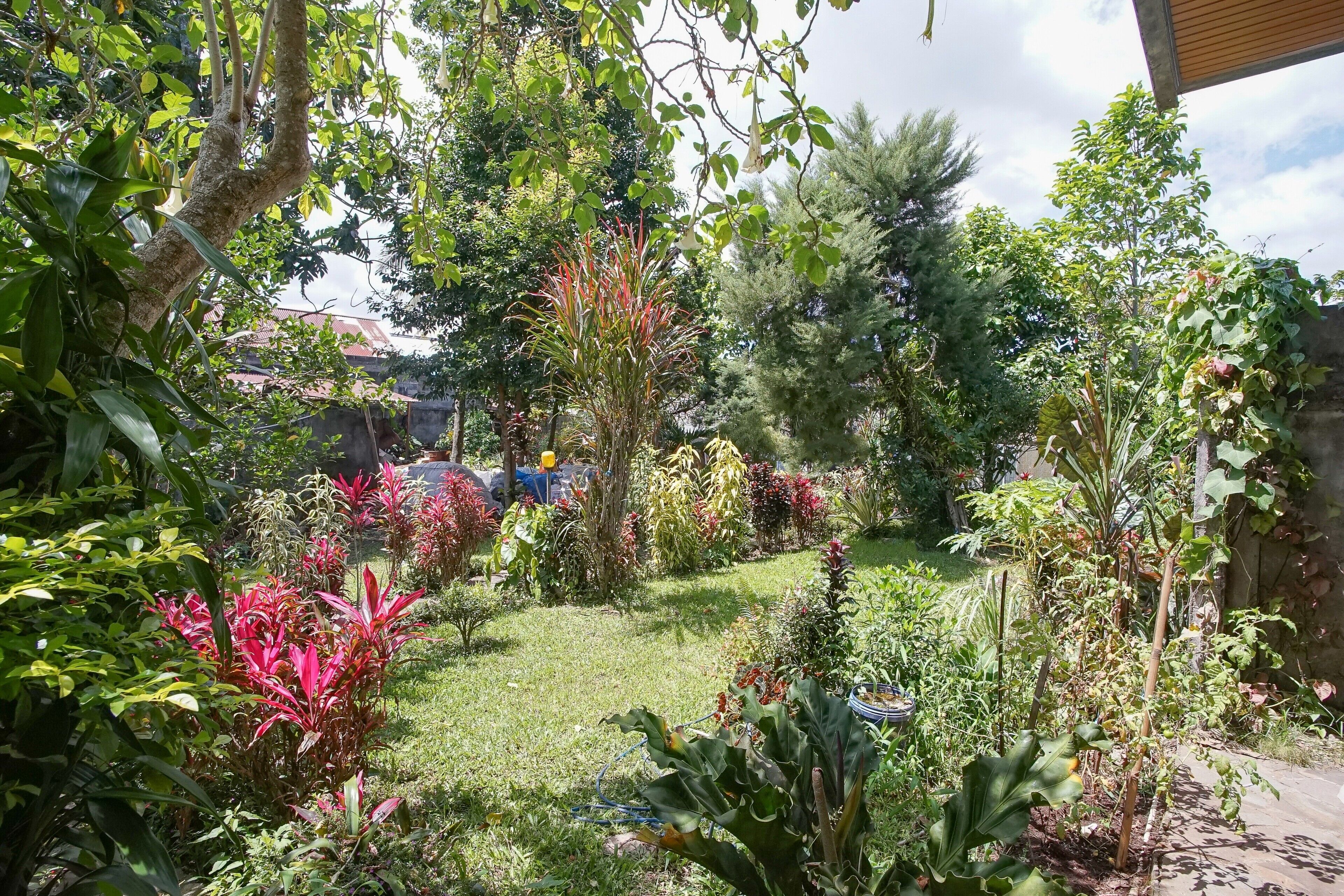 Mountain View Homestay