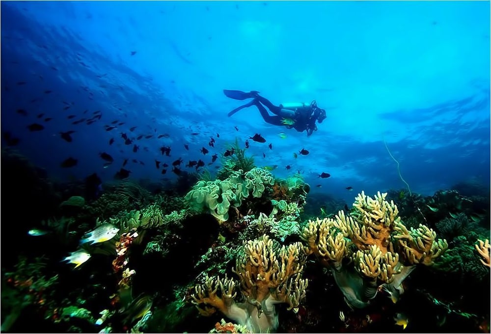 Wakatobi Patuno Diving & Beach Resort