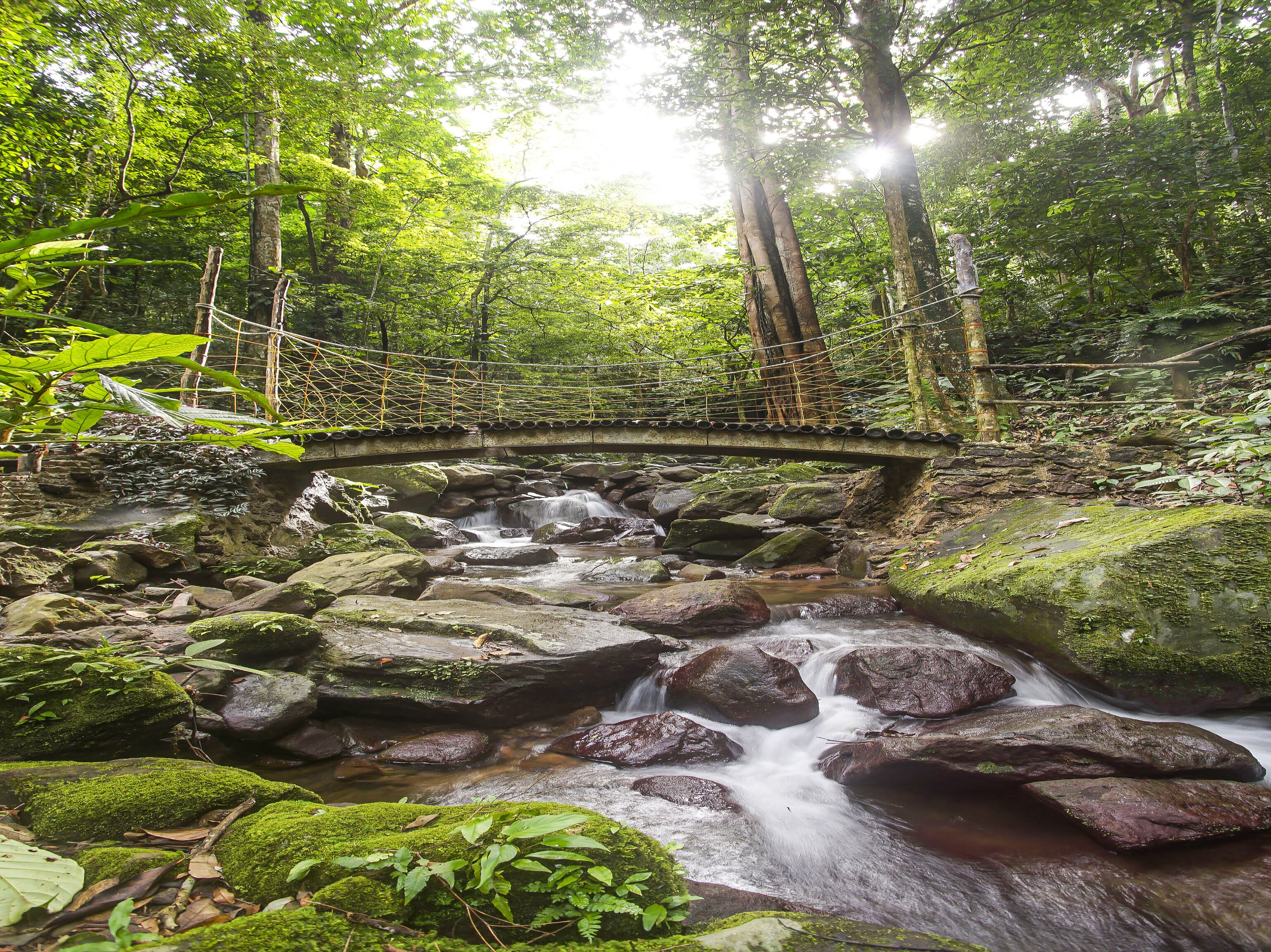 Desa Wisata Air Terjun Way Kalam Syariah By OYO