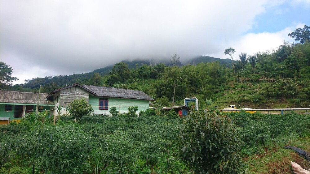 Penginapan Imanuel Lau Gara