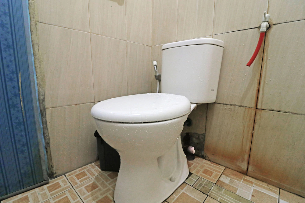 Fadhil Guest House