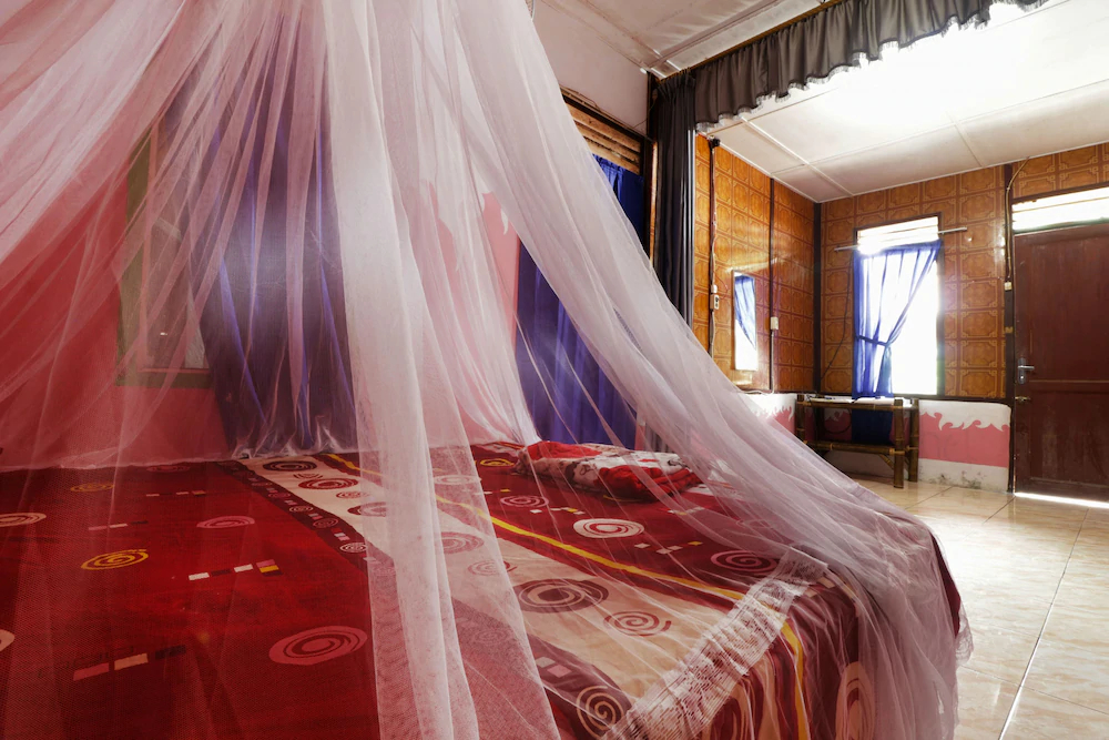 Tiga Dara Guest House