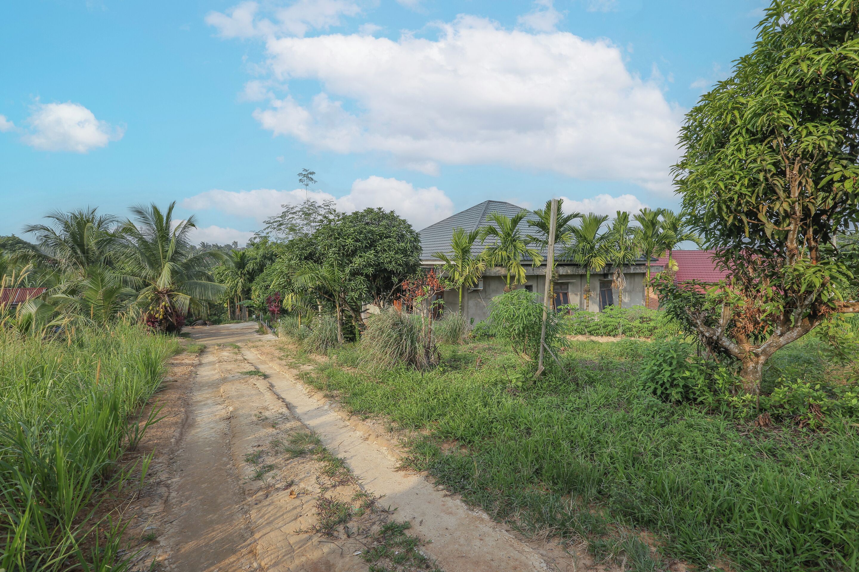 Homestay Romauli Kampung Radja By OYO