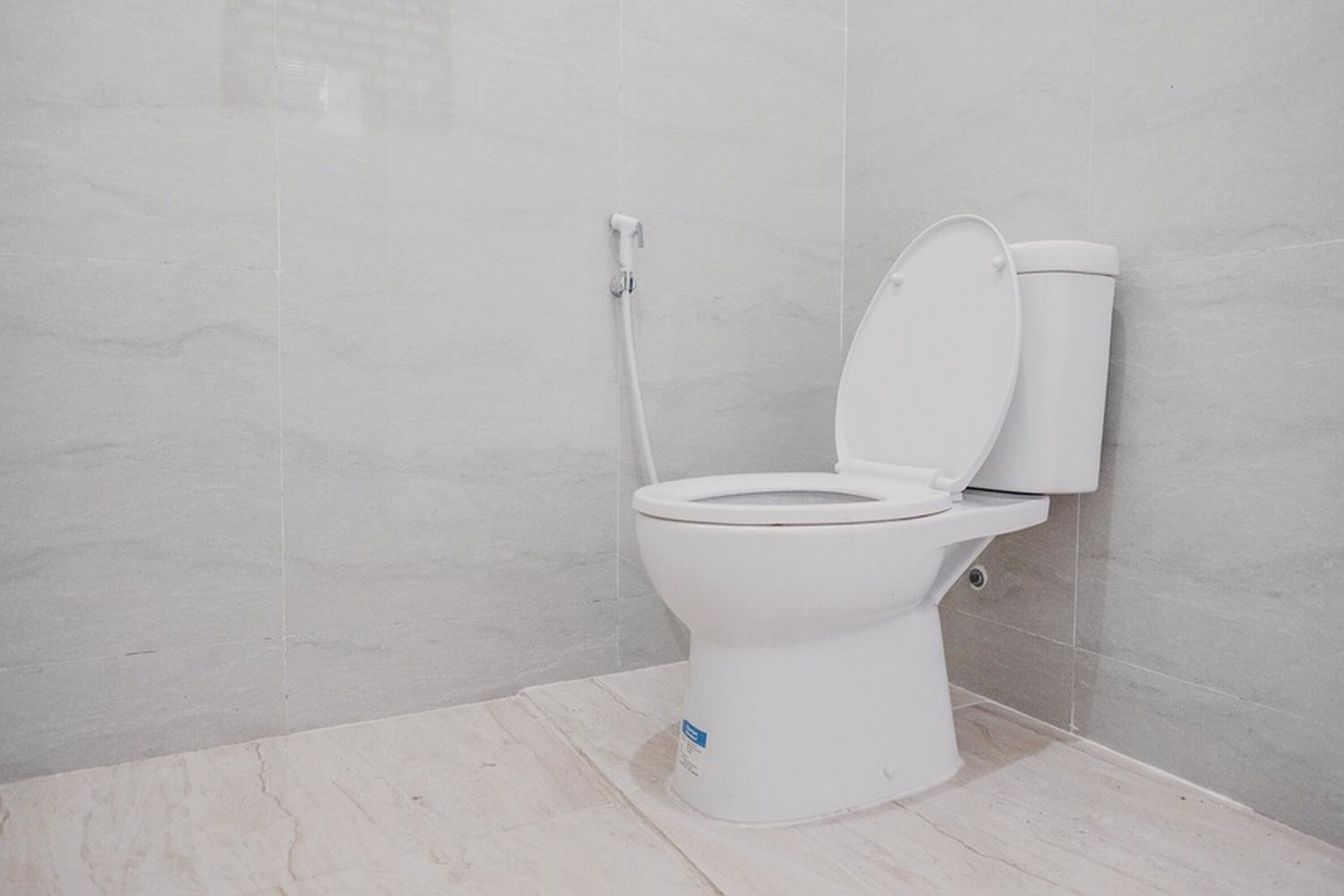 Rose Garden by RedDoorz