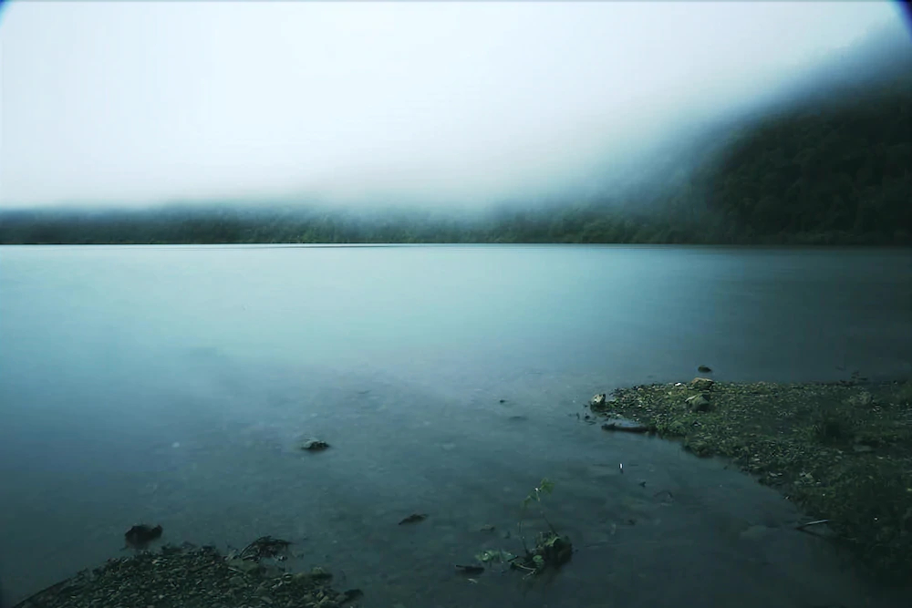 Swarga Lodge and Homestay