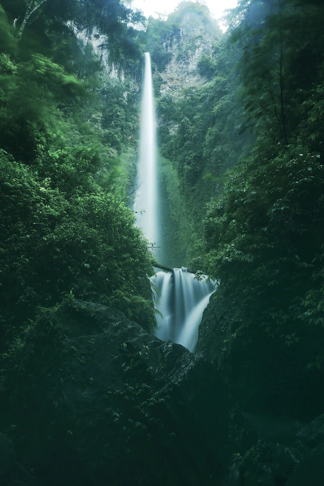 Swarga Lodge and Homestay