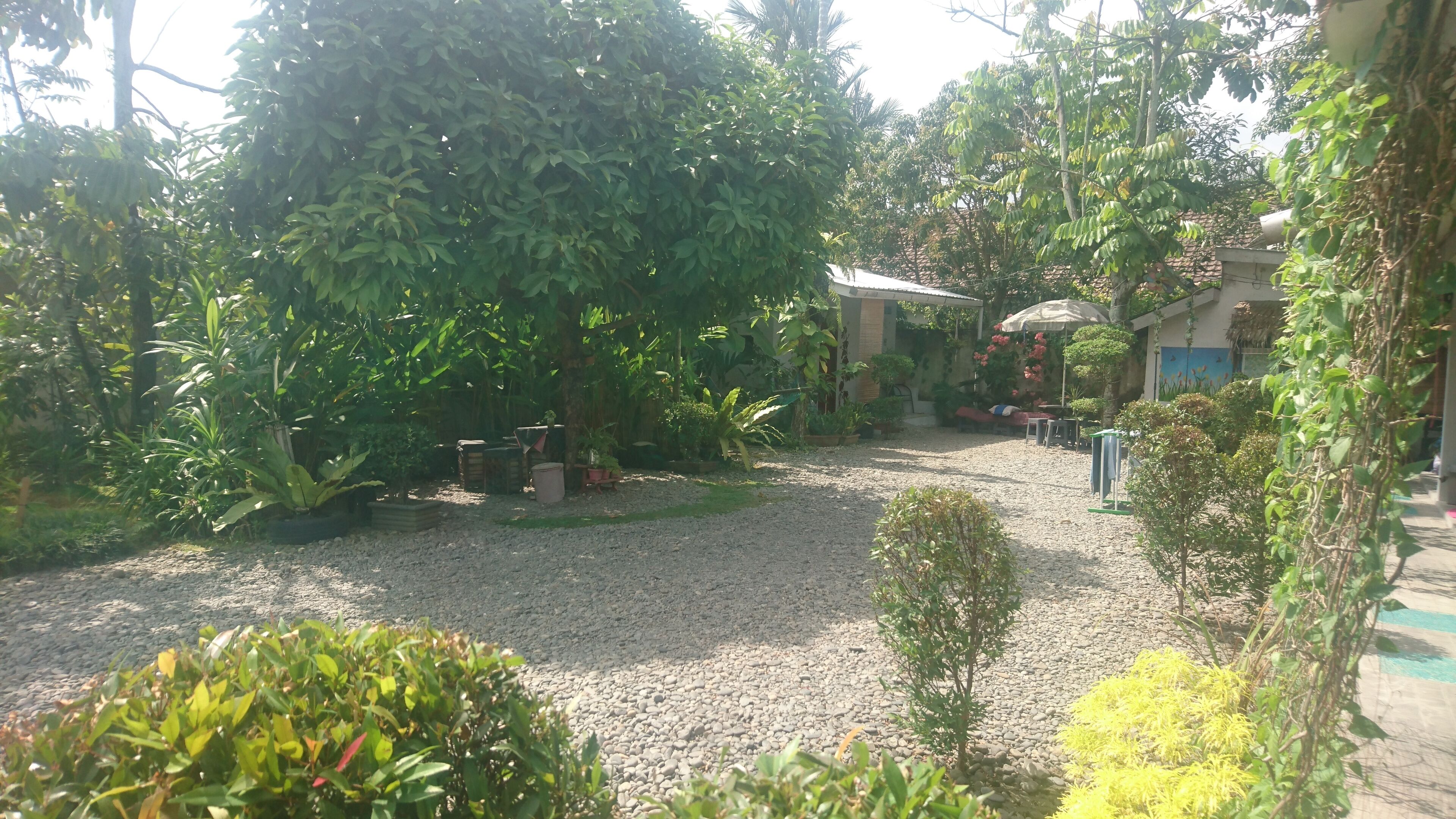 Rumah Asri Guesthouse