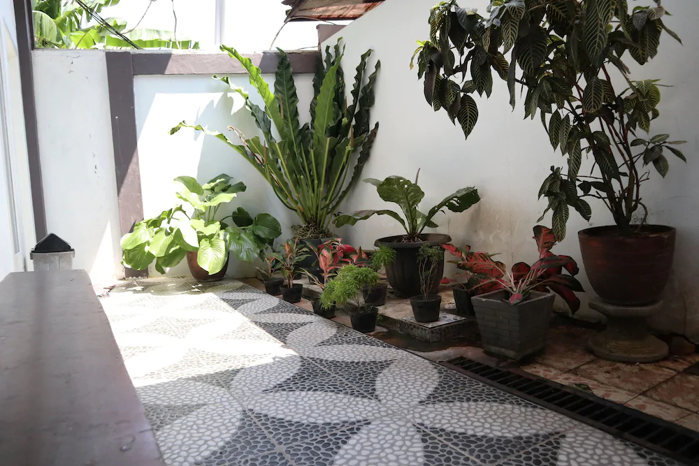 Homestay Rumah Puti by OYO Rooms