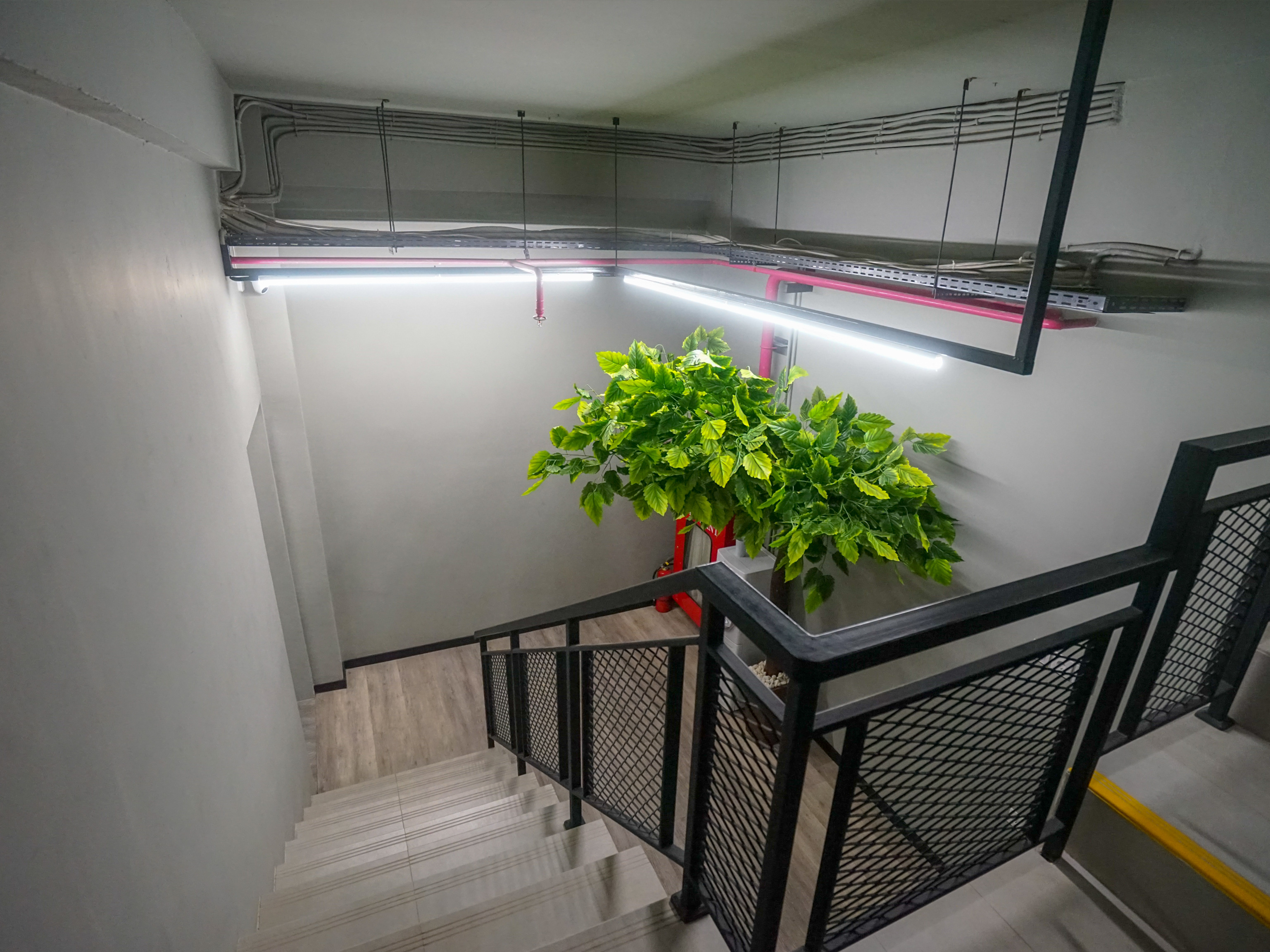 Rajawali Homestay By OYO Rooms