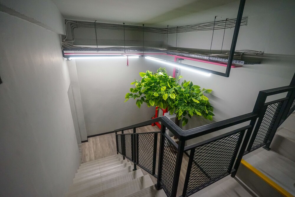 Rajawali Homestay By OYO Rooms