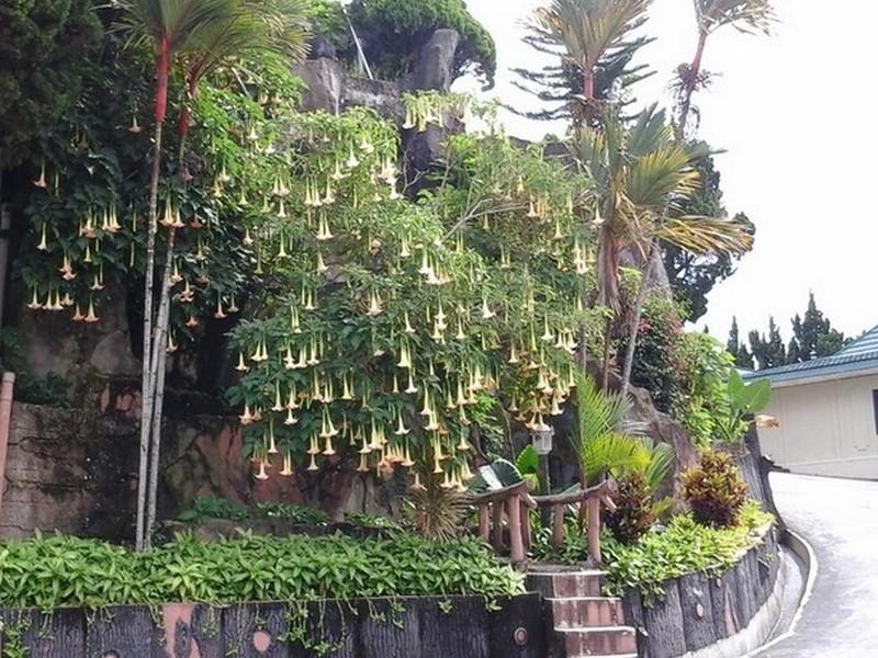 Danau Toba International Cottage