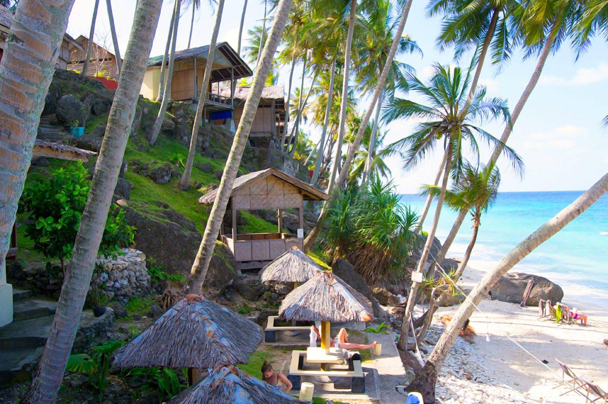 Freddies Santai Sumurtiga