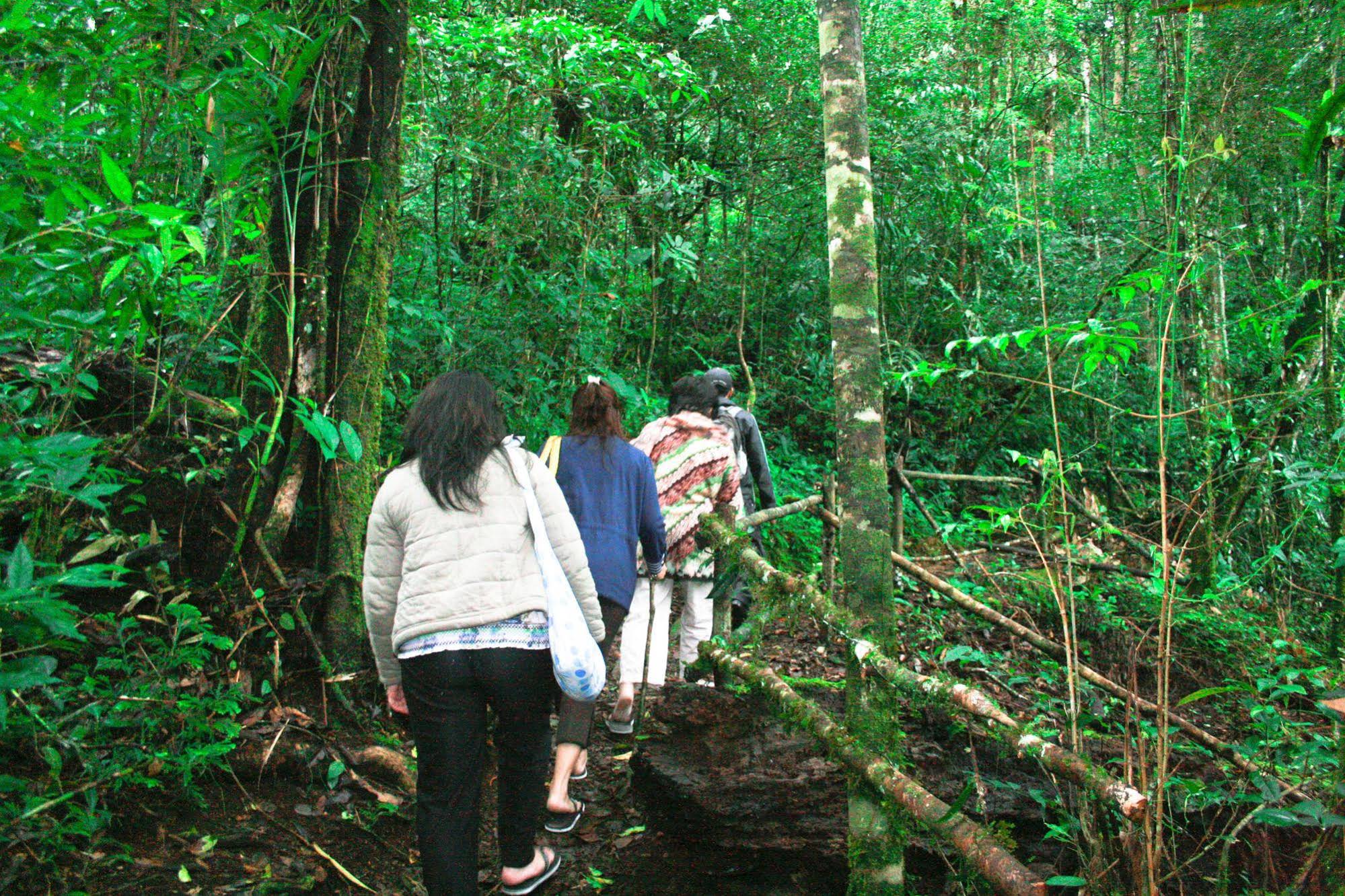 Taman Simalem Resort
