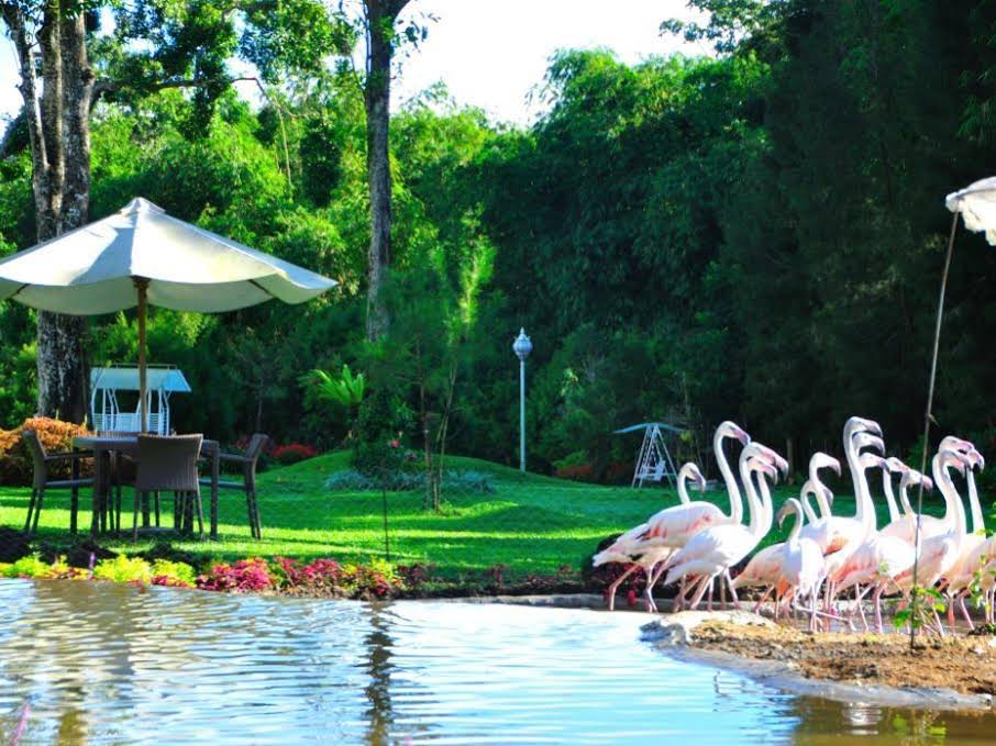 The Hill Resort Sibolangit Powered by Archipelago