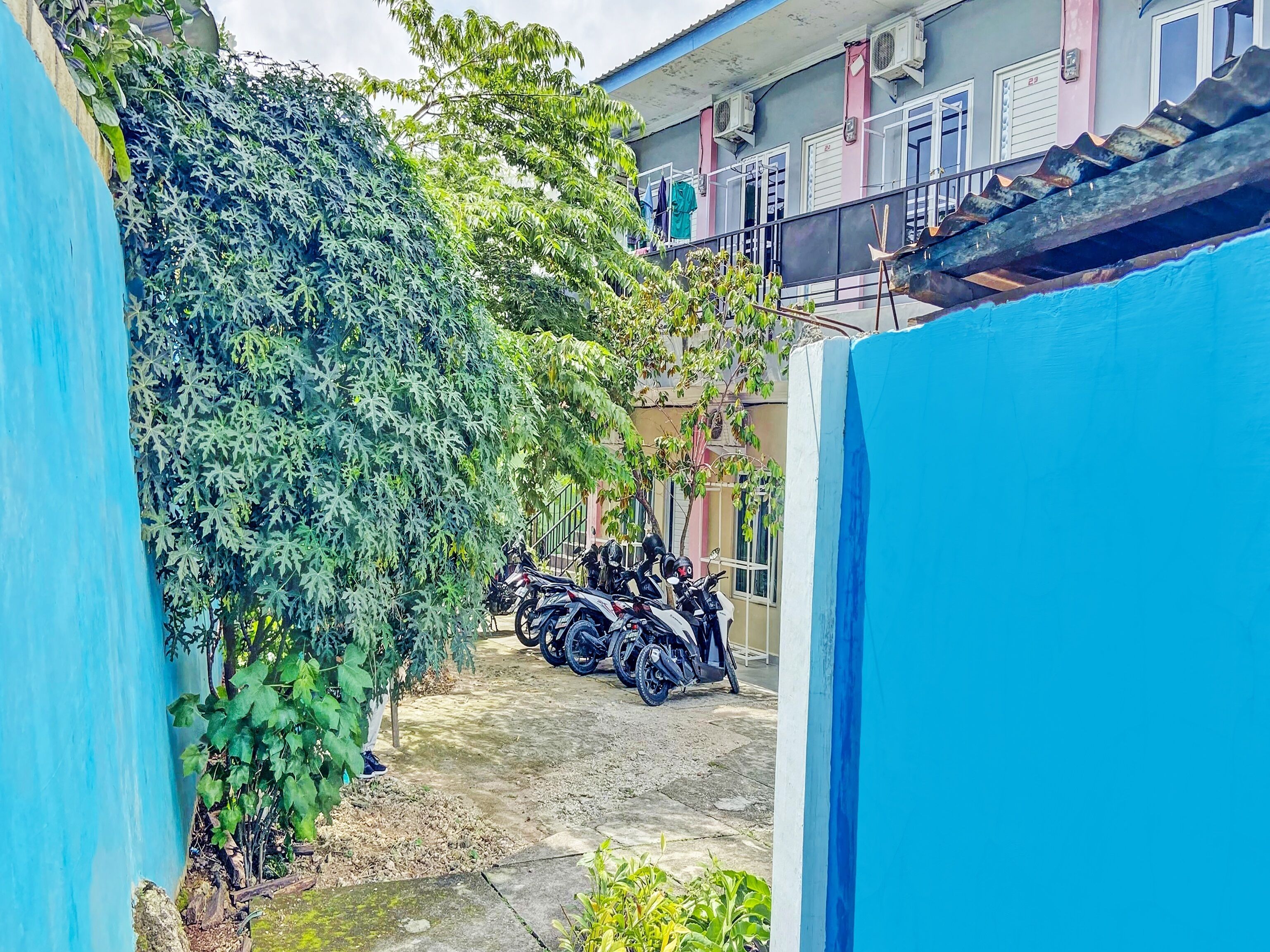 Kost Ancacei By OYO