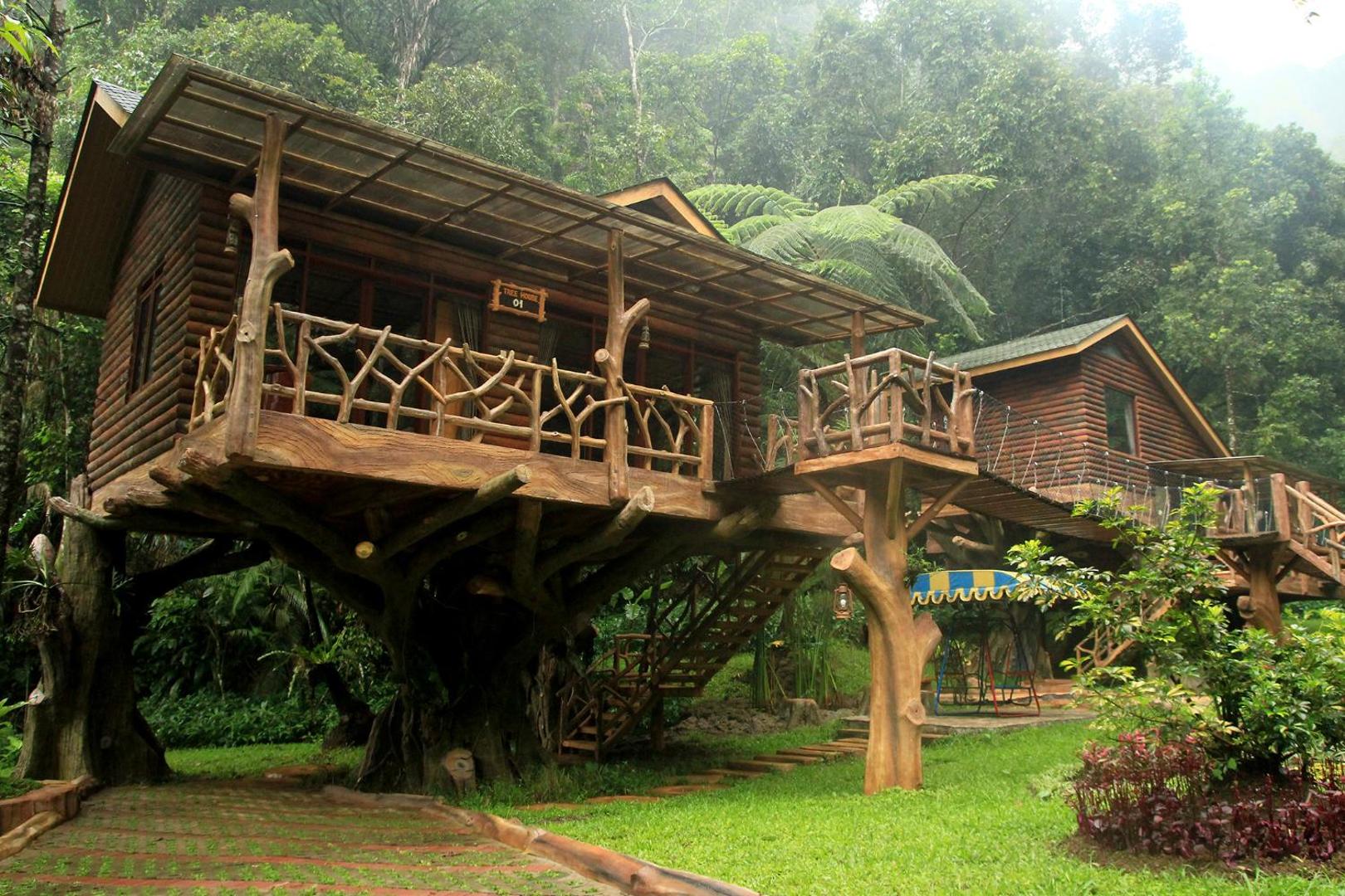Safari Lodge