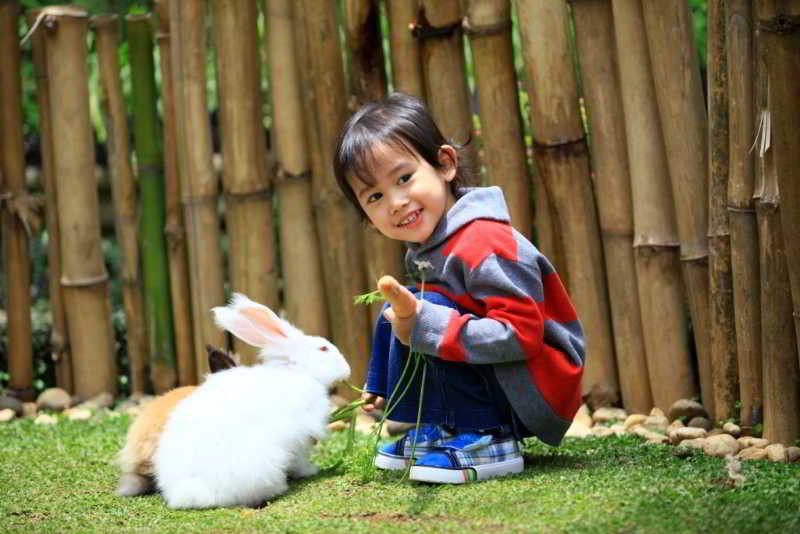 Novus Giri Resort & Spa