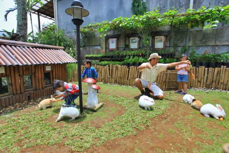 Novus Giri Resort & Spa