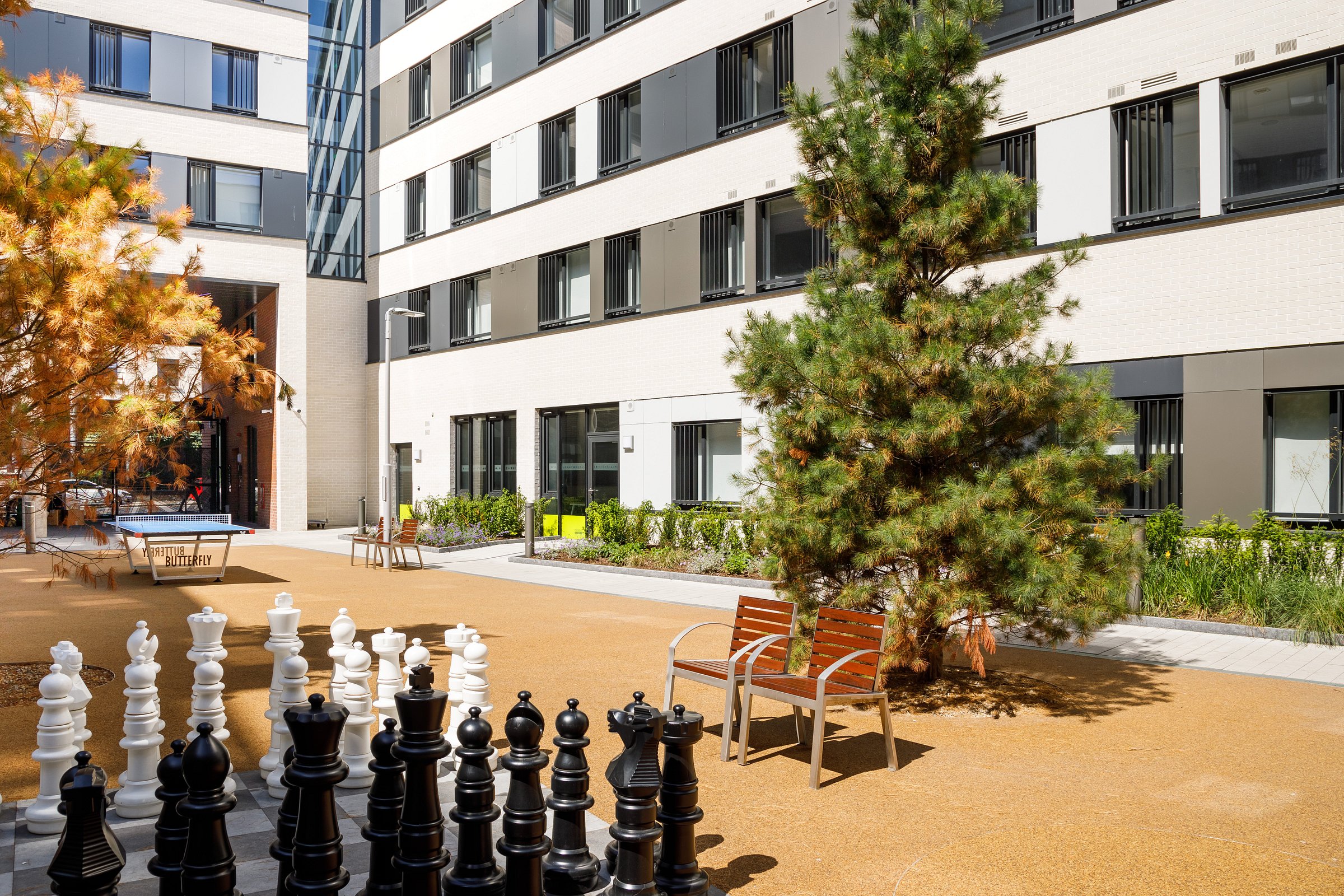Destiny Student Kavanagh Court