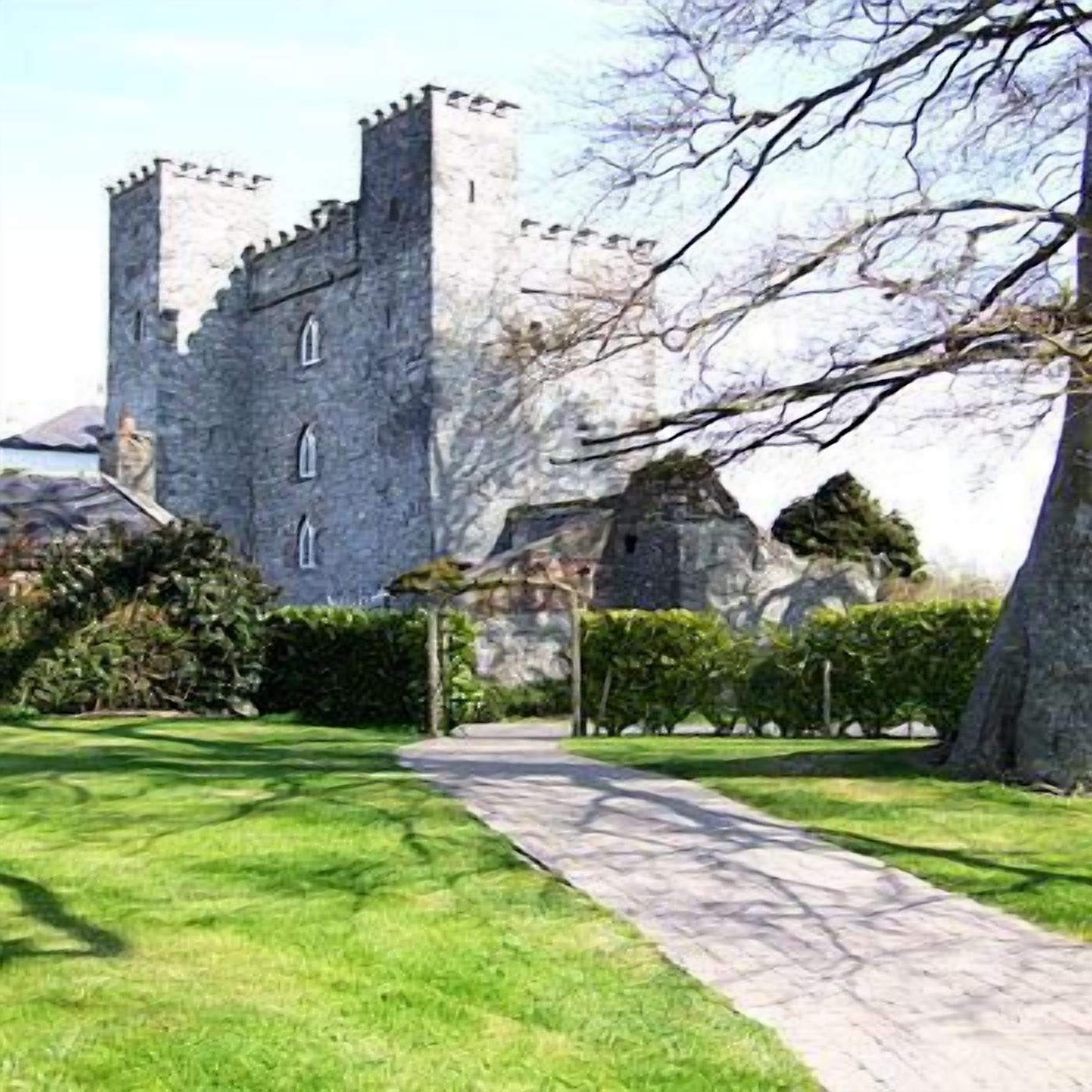 Barberstown Castle Hotel